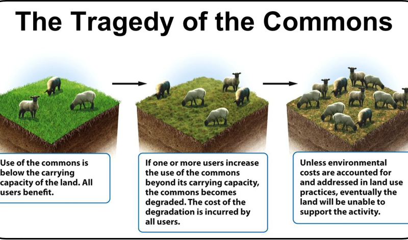 Tragedy of the Commons | Sustainable Environment Online