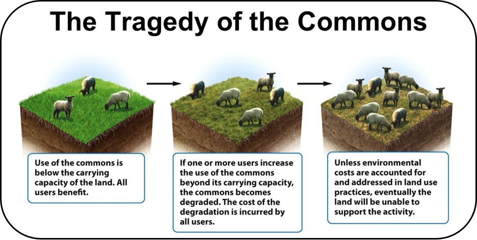 Tragedy of the Commons | Sustainable Environment Online